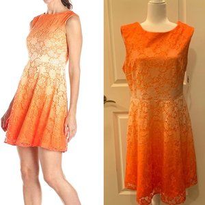 Sandra Darren Gradient Lace Overlay Spring Dress
